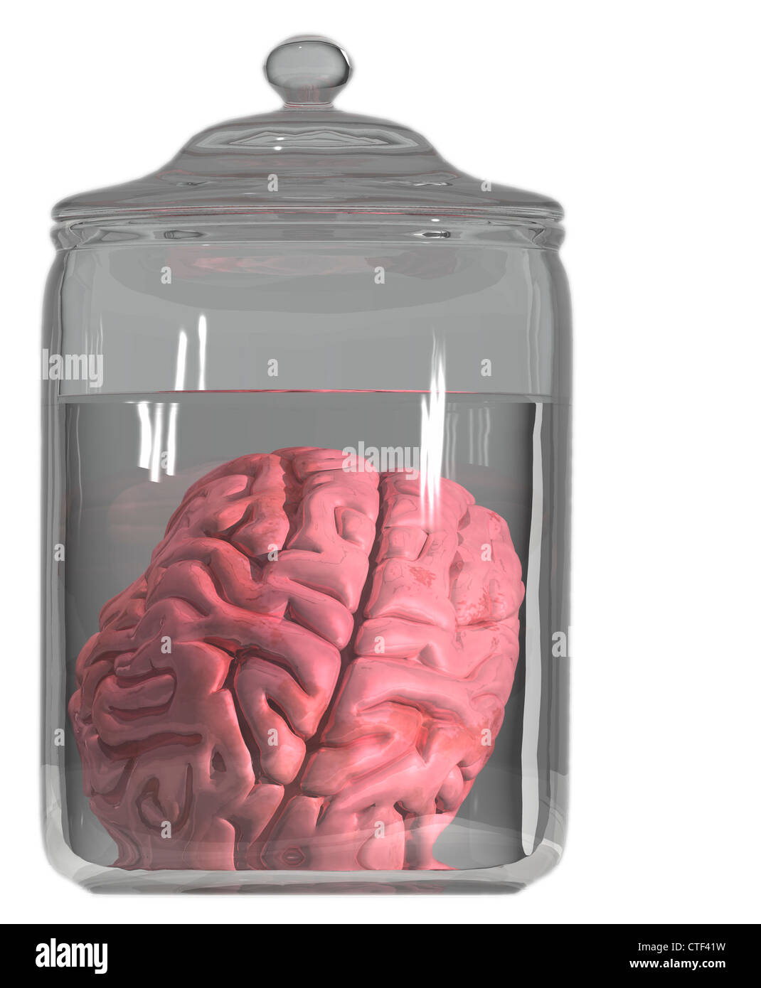 Studio shot of brain in decanter Stock Photo