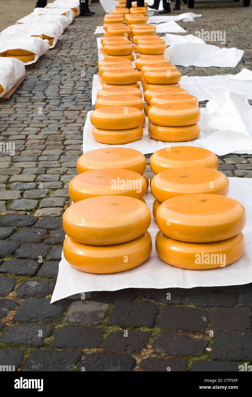 Cheese market Gouda Netherlands Stock Photo Alamy