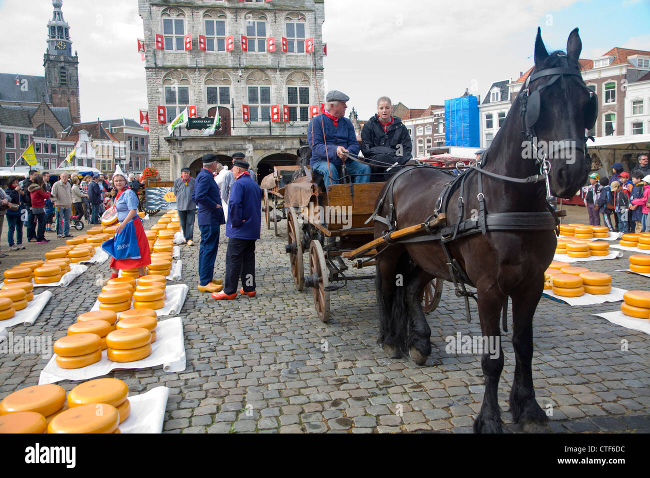 Gouda cheese market Netherlands Stock Photo Alamy