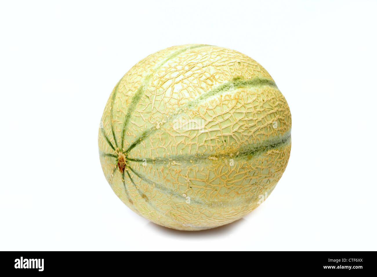 ripe melon, photo on the white background Stock Photo