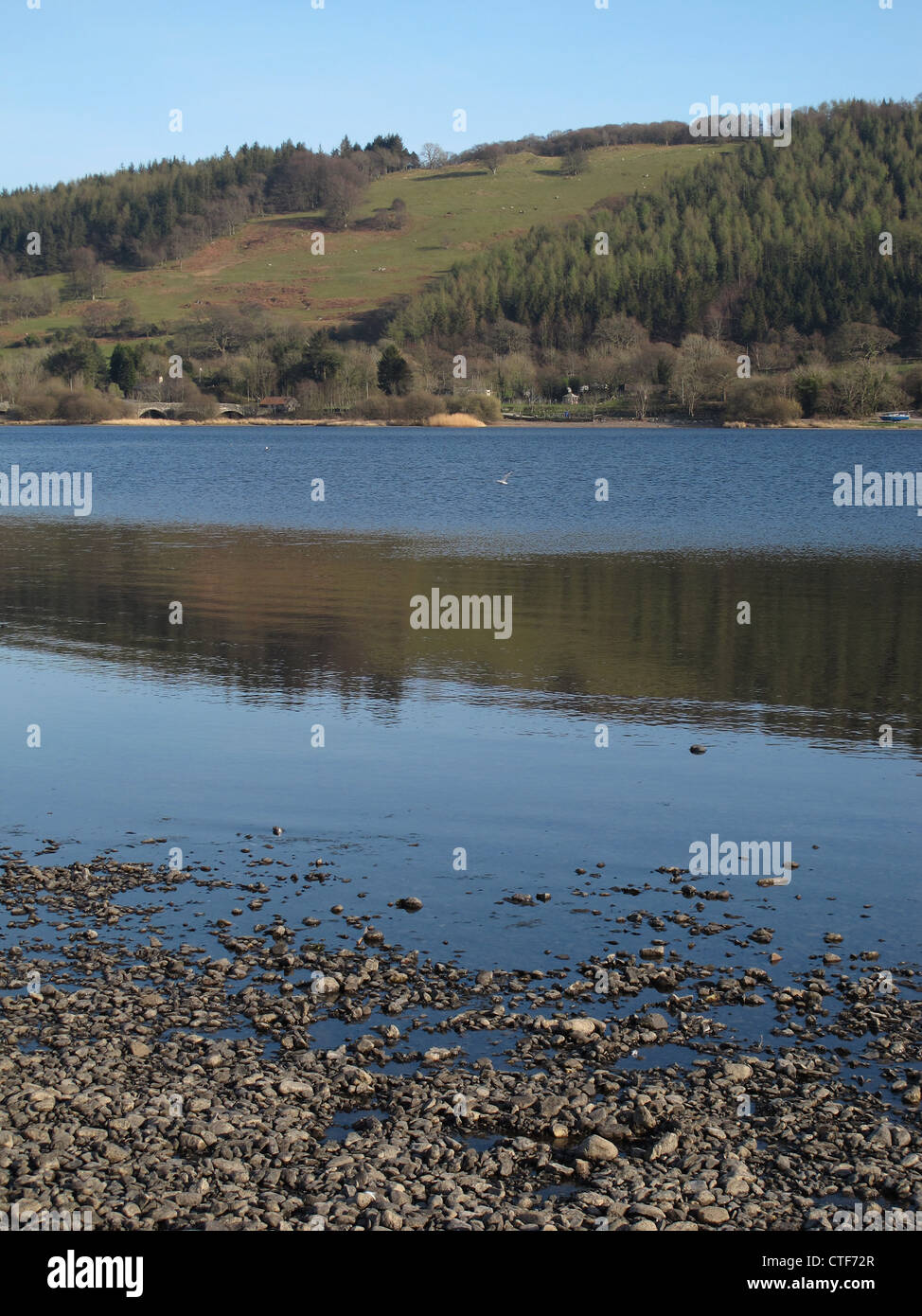 Lake Bala, North Wales Stock Photo Alamy