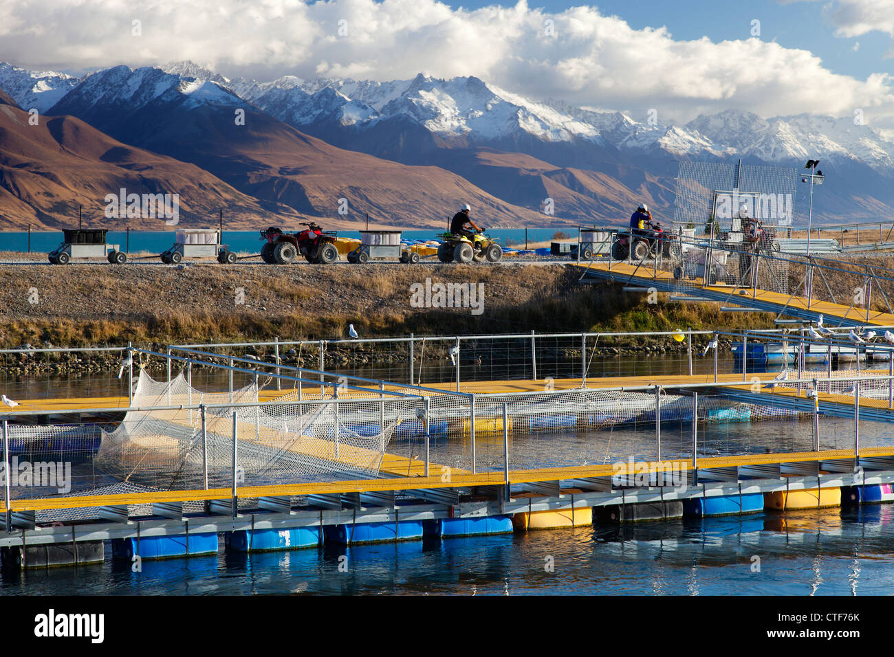 Salmon farm on hydro canal between Lakes Pukaki and Tekapo, South
