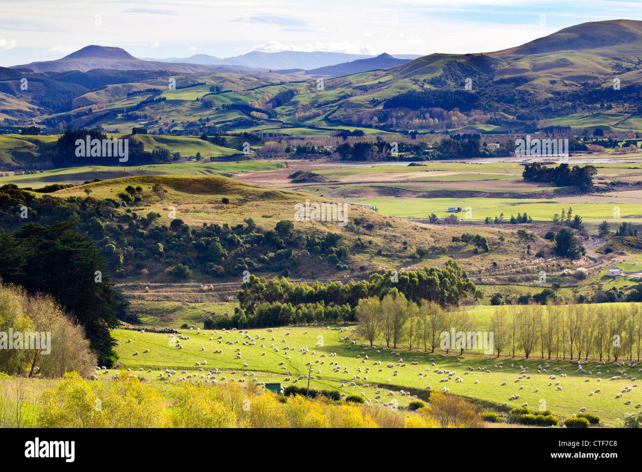 Views from a hill above Karitane, Otago, New Zealand 2 Stock Photo Alamy