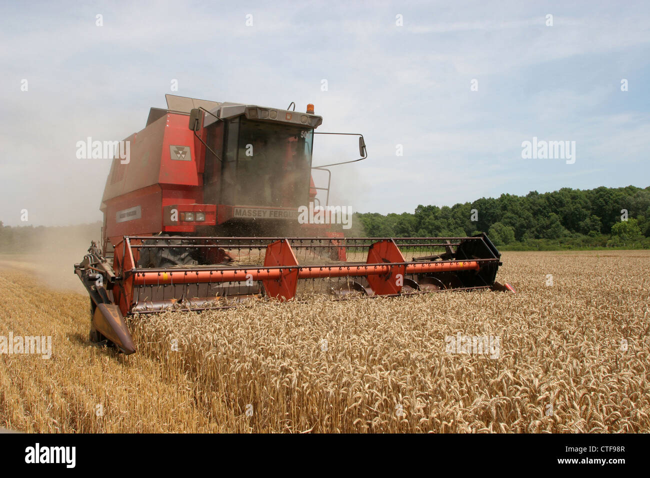 Combine harvesting wheat Stock Photo Alamy