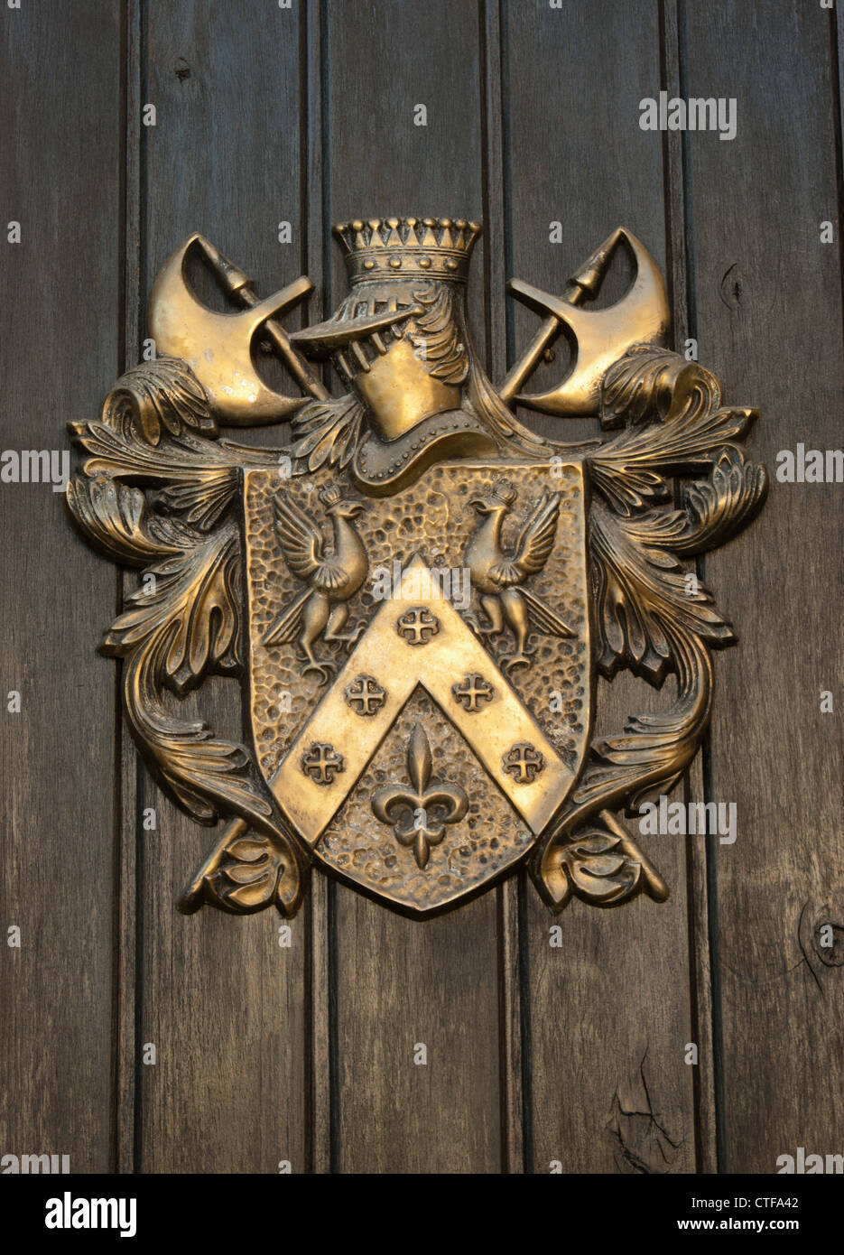 Metal coat of arms on plank wood door. Heraldic shield against wood