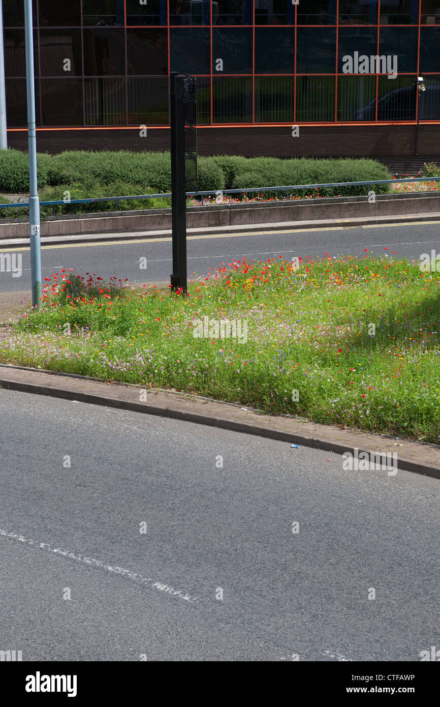 Poppies and other wild meadow flowers planted in Birmingham city centre