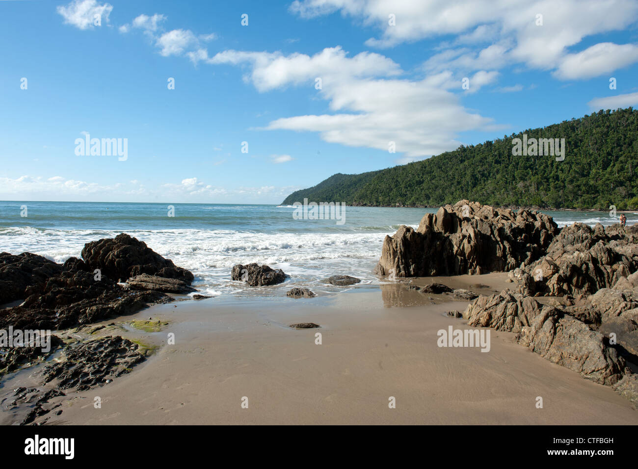 Etty Beach near Innisfail on Queensland's Cassowary Coast is known for spotting these rare birds. Stock Photo