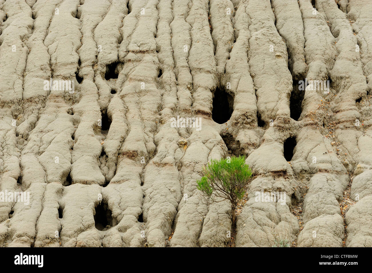 Bentonite details, with erosion patterns Theodore Roosevelt National