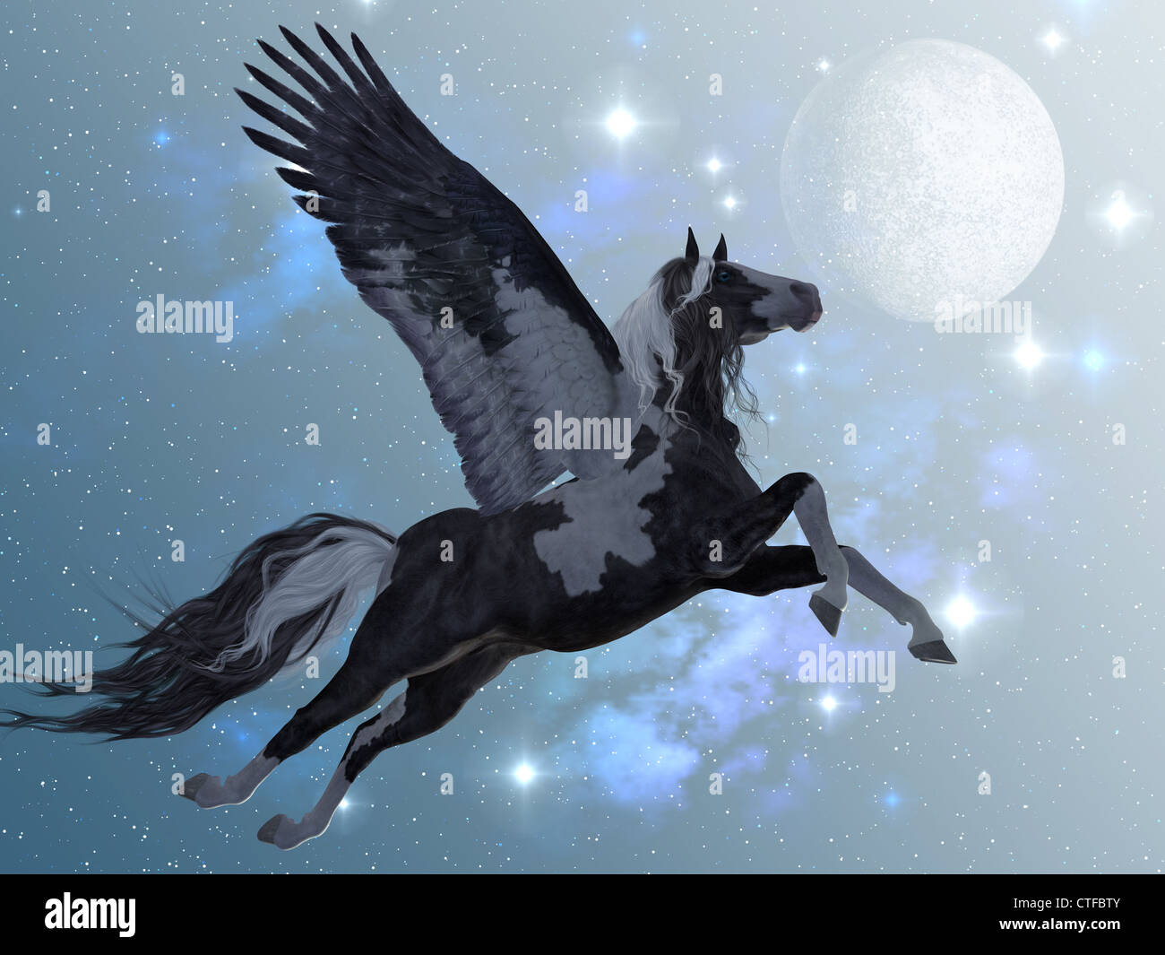 A beautiful black and white Pegasus flies up into the sky on long feathered wings. Stock Photo
