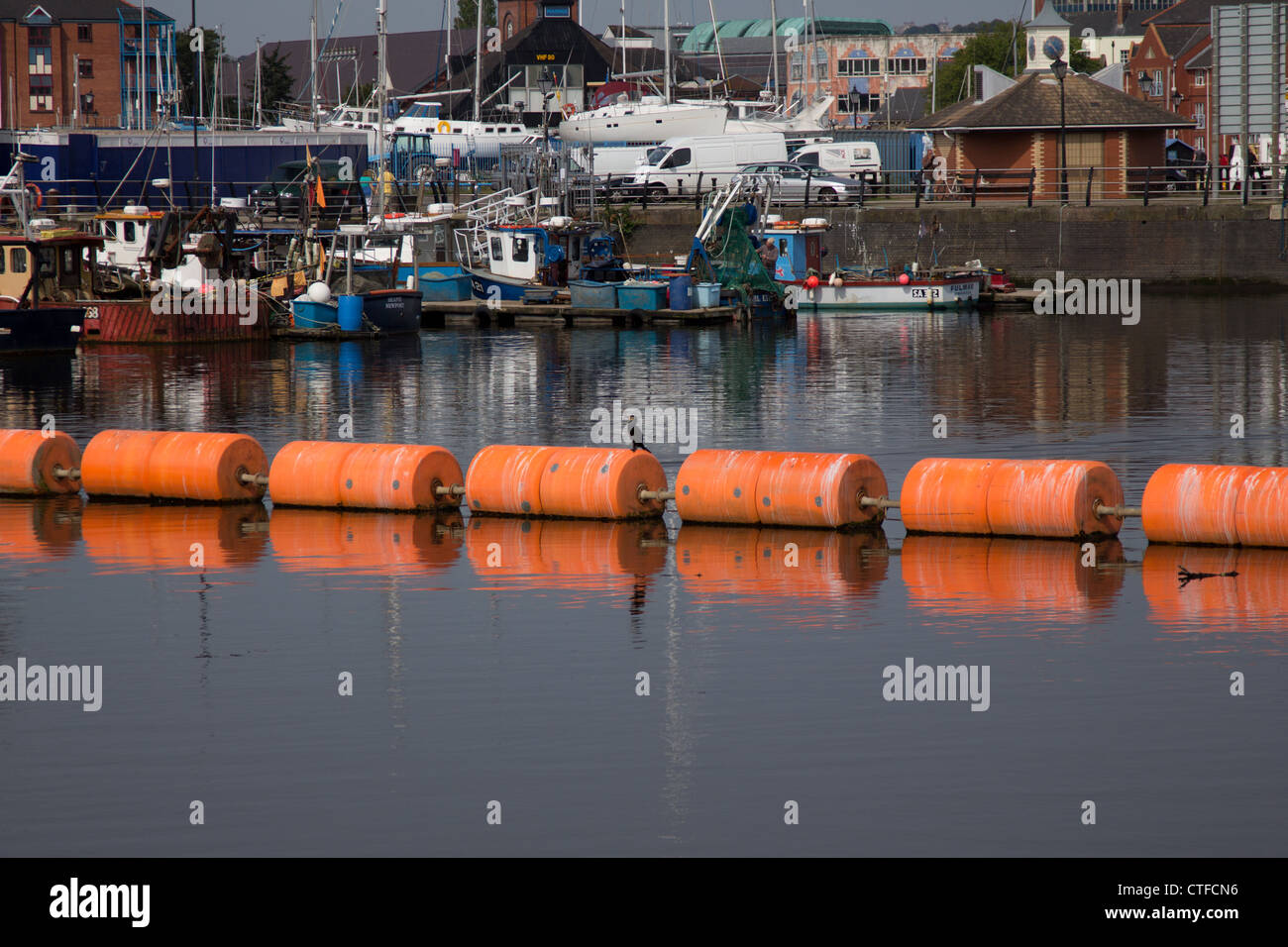 A cormorant stands on the barrage buoys at Swansea Marina Stock Photo