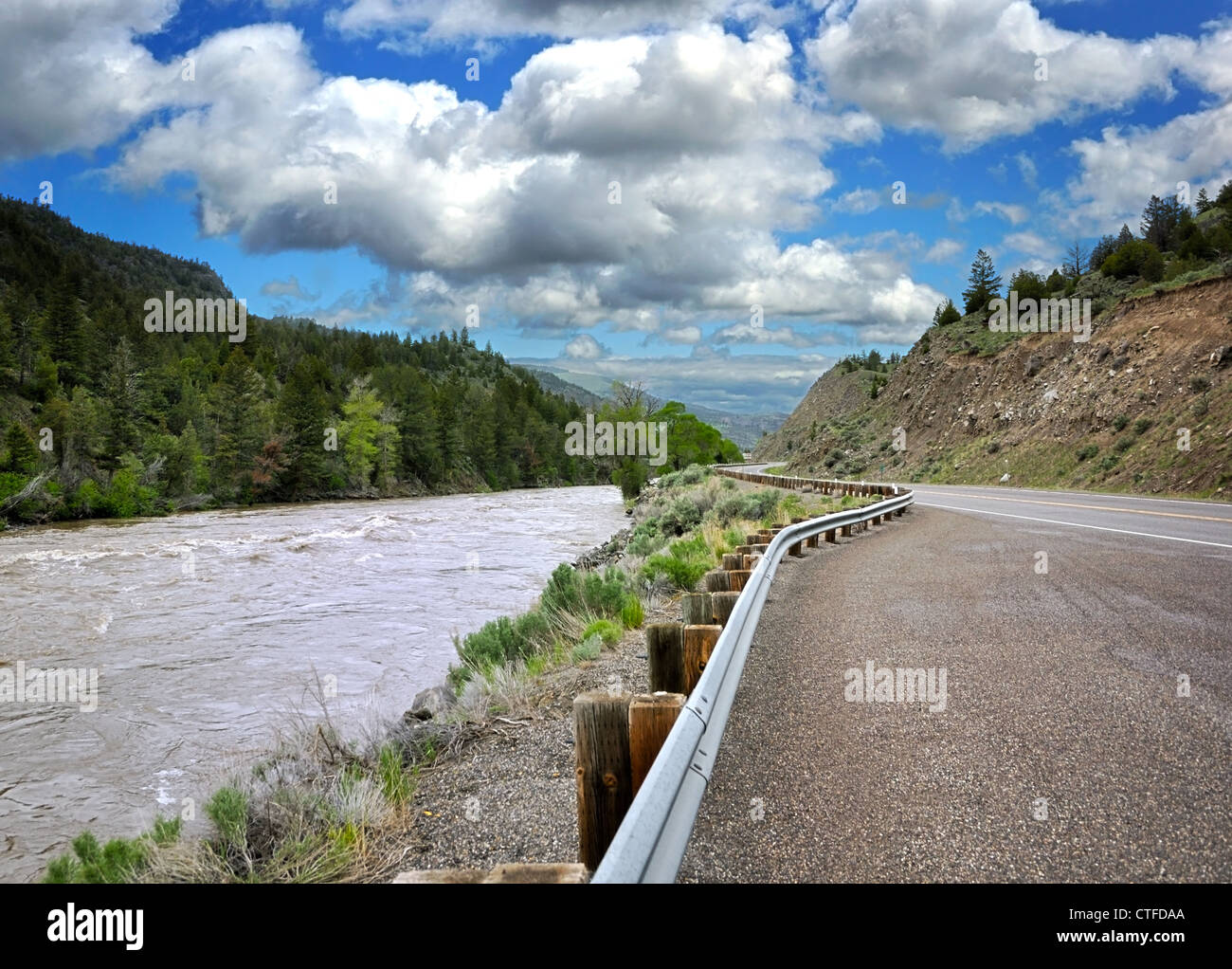 Road forest river hi-res stock photography and images - Alamy