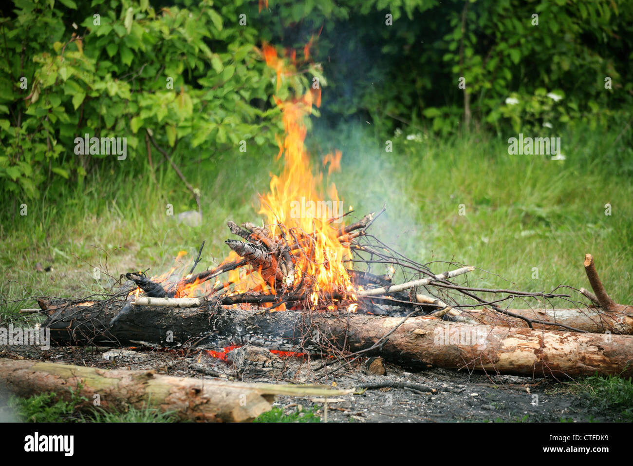 bonfire, campfire in the summer forest Stock Photo - Alamy