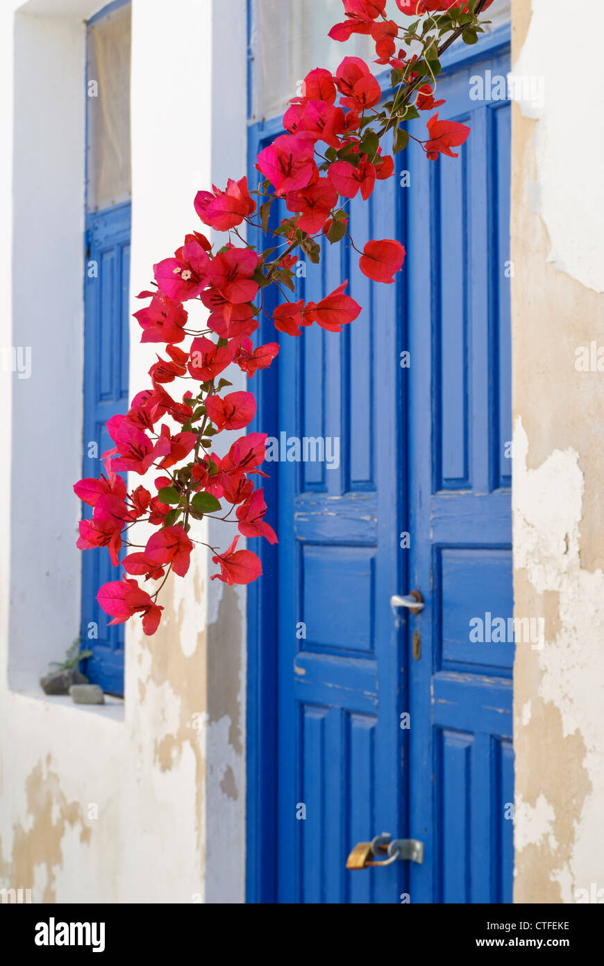 Greek Island detail of a blue door and red bougainvillea in the old Hora of Serifos Island, Greece Stock Photo