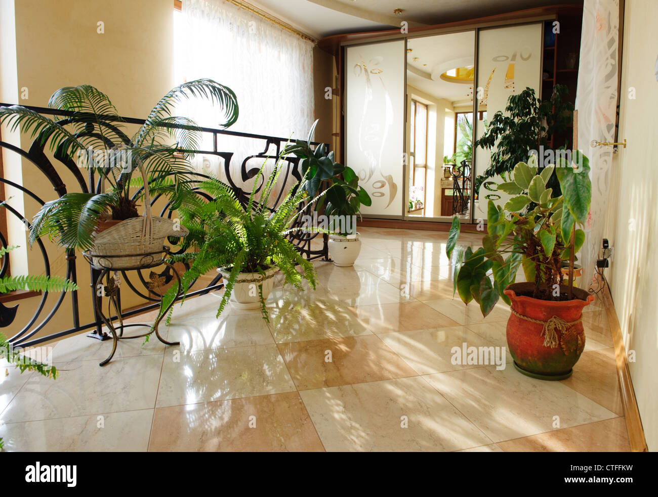 Inside house lots plants hi-res stock photography and images - Alamy