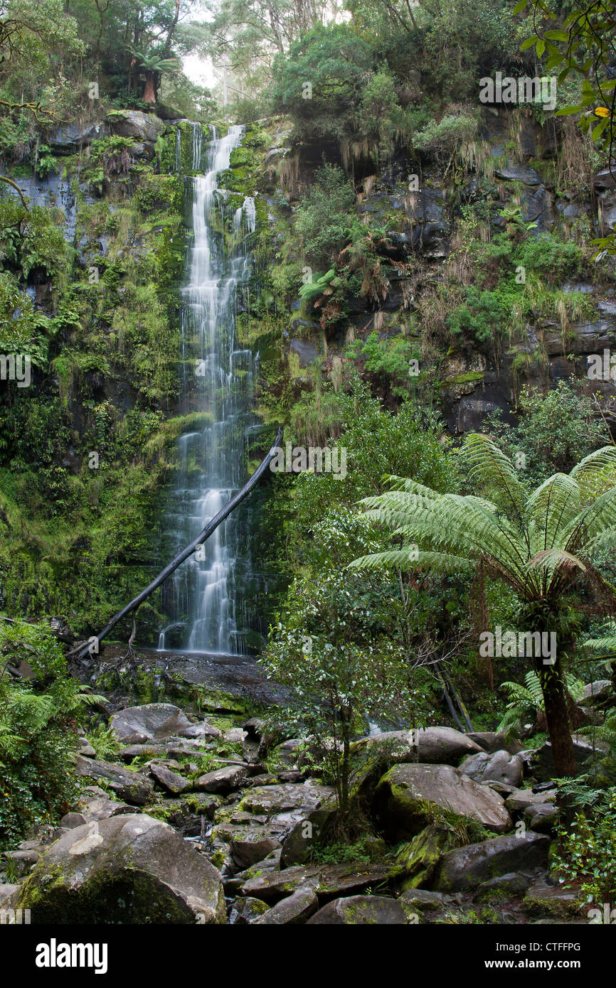 Palm leaves waterfall hi-res stock photography and images - Alamy