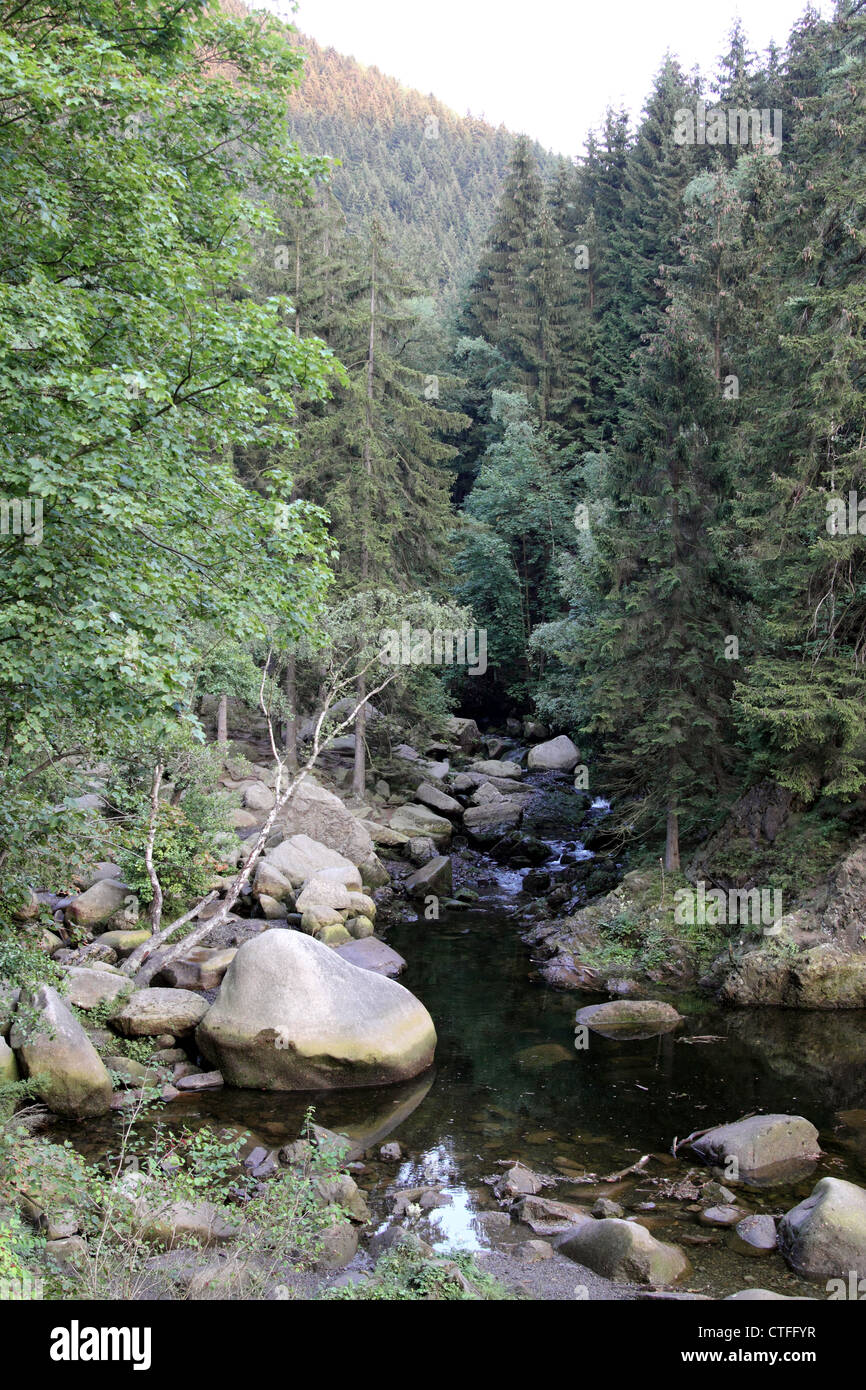 streambed of river oker in german harz region Stock Photo Alamy streambed of river oker in german harz region Stock Photo Alamy