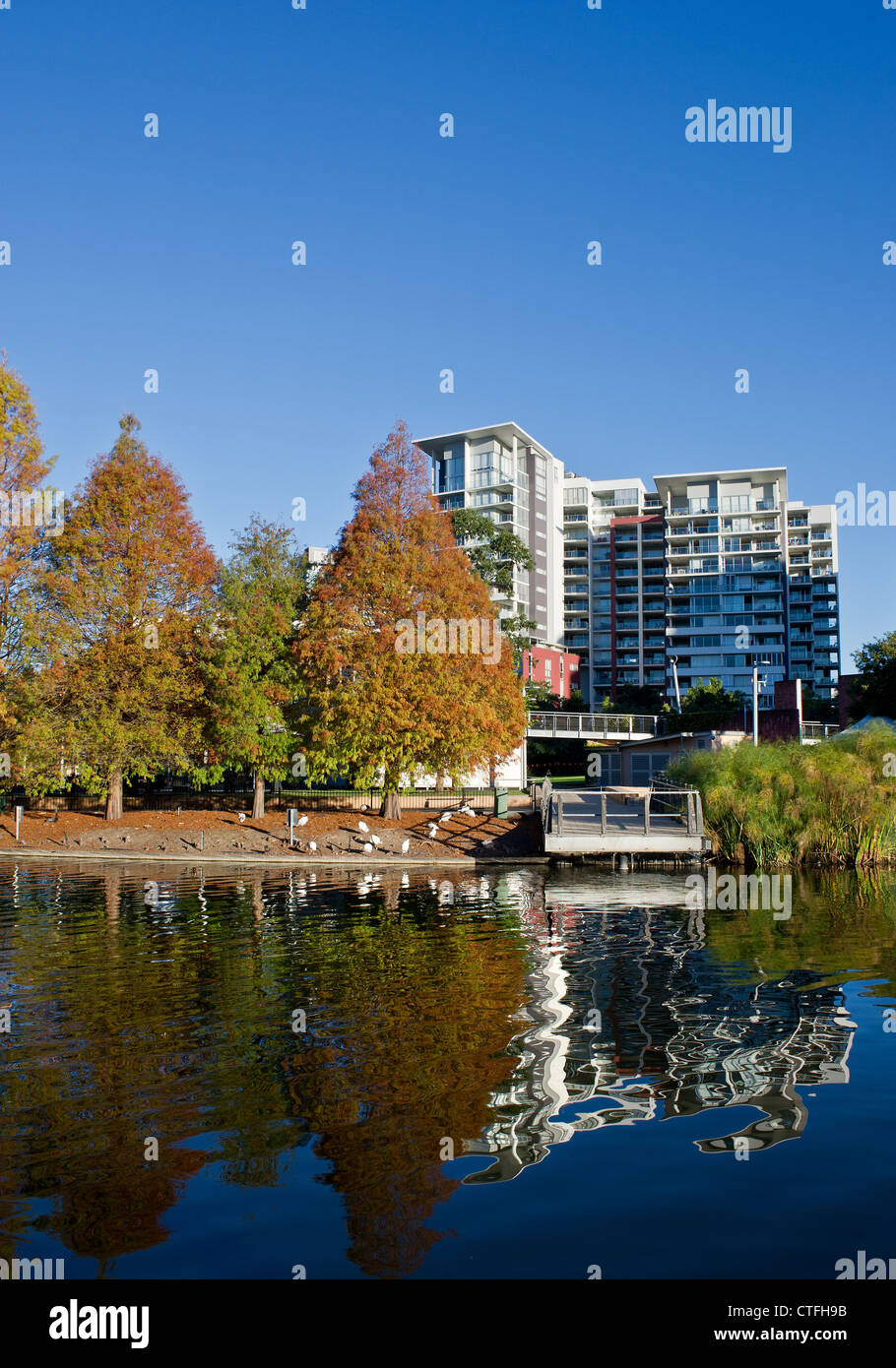 Roma Street Parkland In Brisbane In Queensland Australia Stock Photo ...