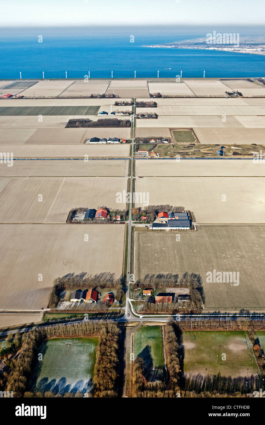 The Netherlands, Ens, Farms and farmland in Flevopolder. Aerial. Stock Photo