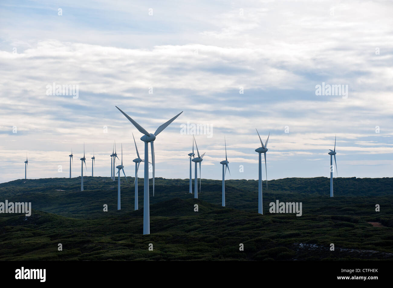 The Albany Wind Farm on the Torndirrup Peninsula in Albany, Western Australia Stock Photo