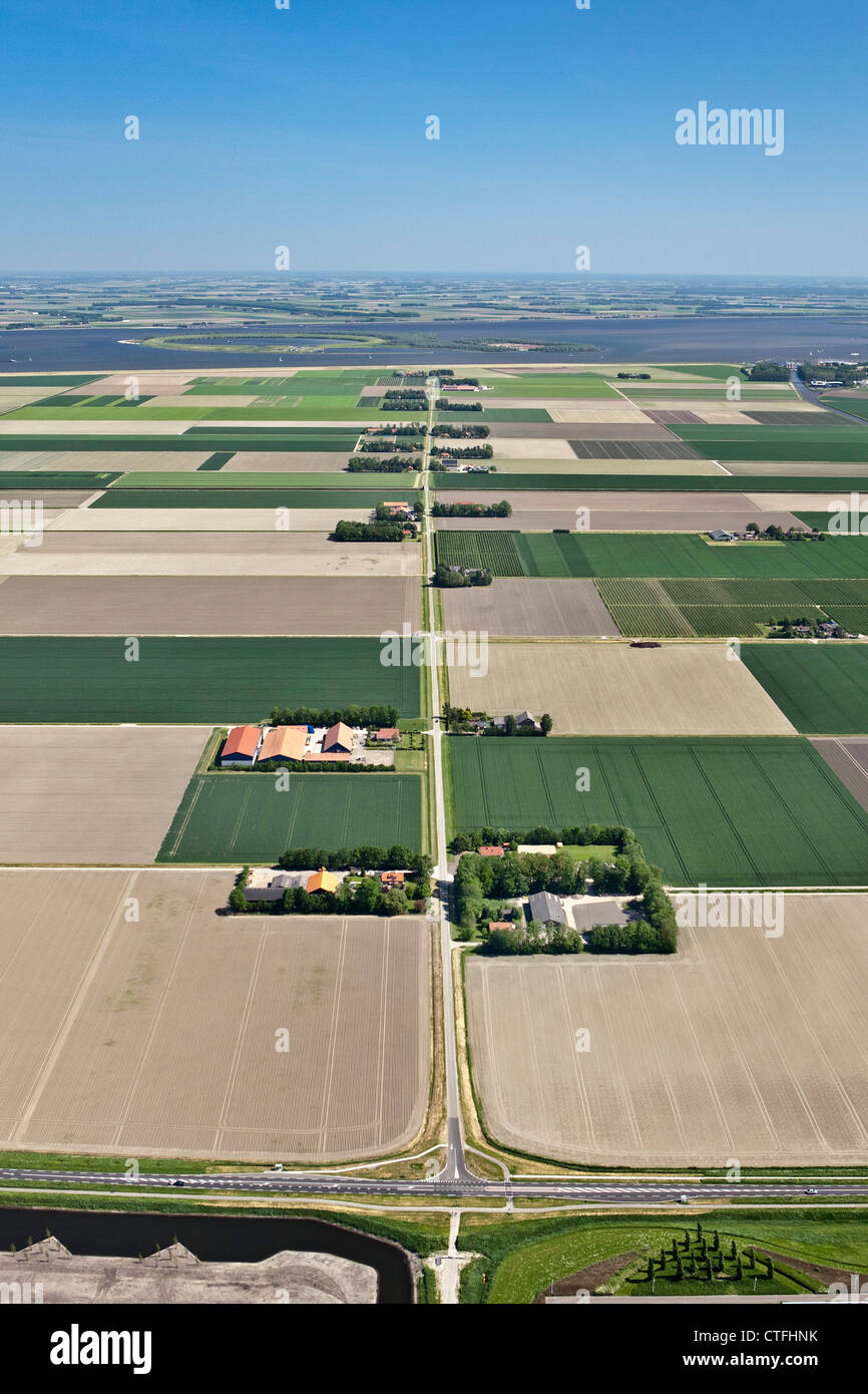 The Netherlands, Dronten, Farms and farmland in Flevopolder. Aerial. Stock Photo