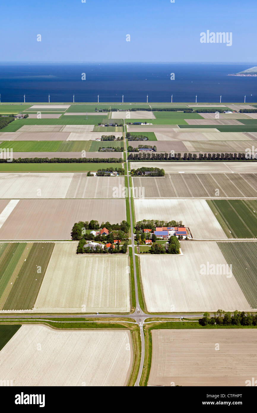 The Netherlands, Nagele, Farms and farmland in Flevopolder. Aerial. Stock Photo