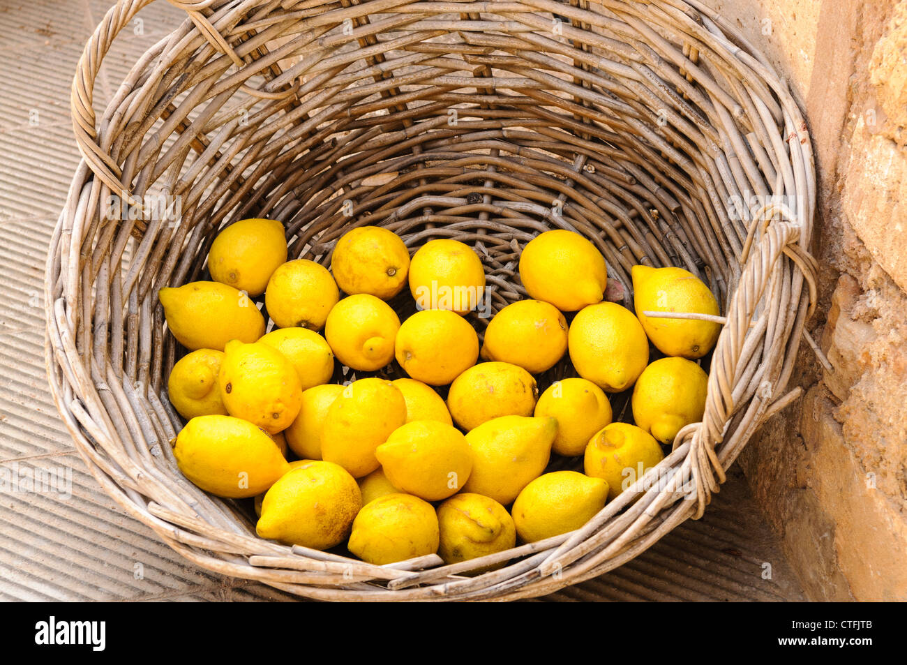 Wicker basket with freshly picked lemons Stock Photo