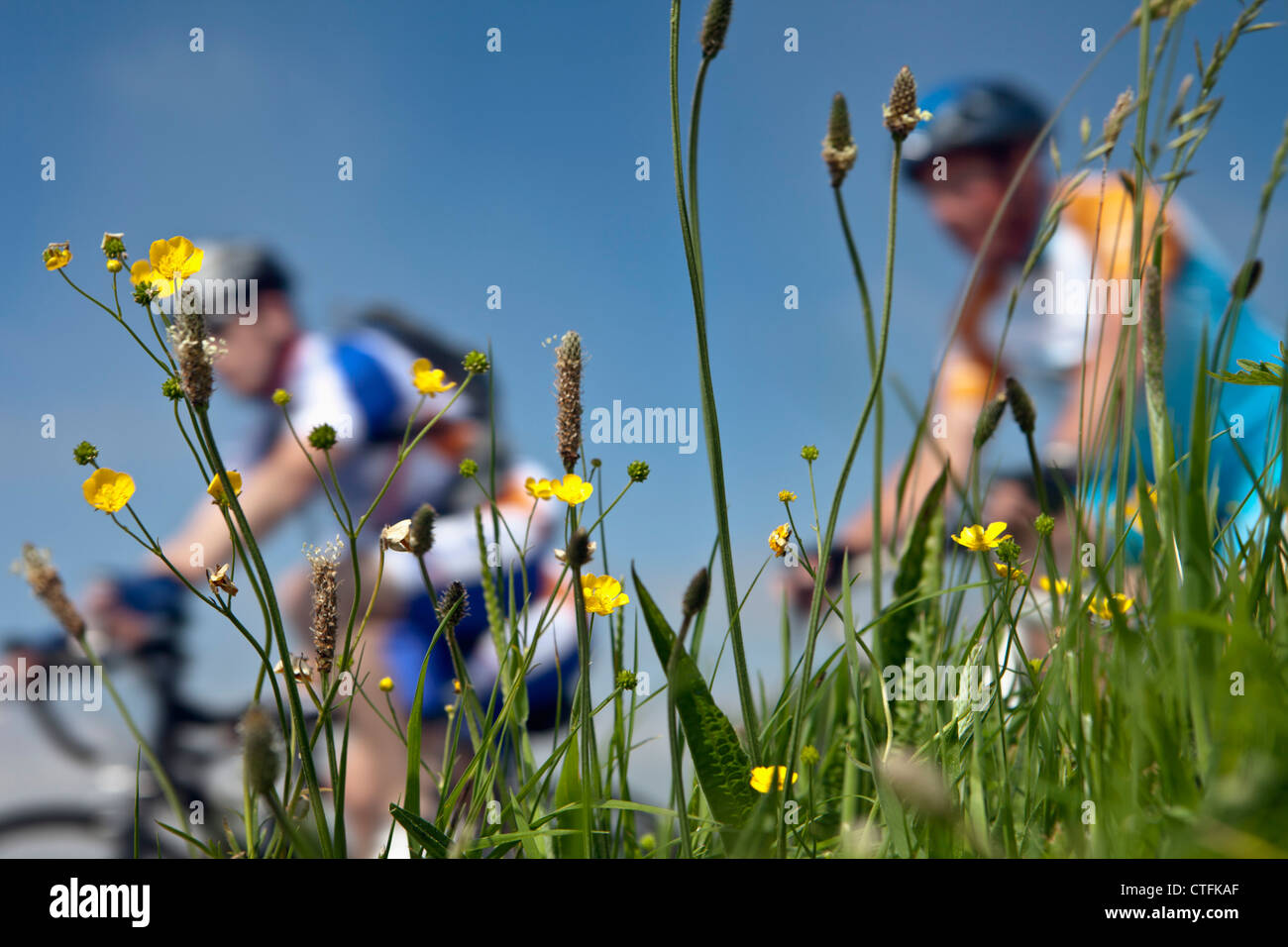 The Netherlands, Hindeloopen. Eleven Cities Cycling tour ( Dutch: Elfsteden Fietstocht). Stock Photo