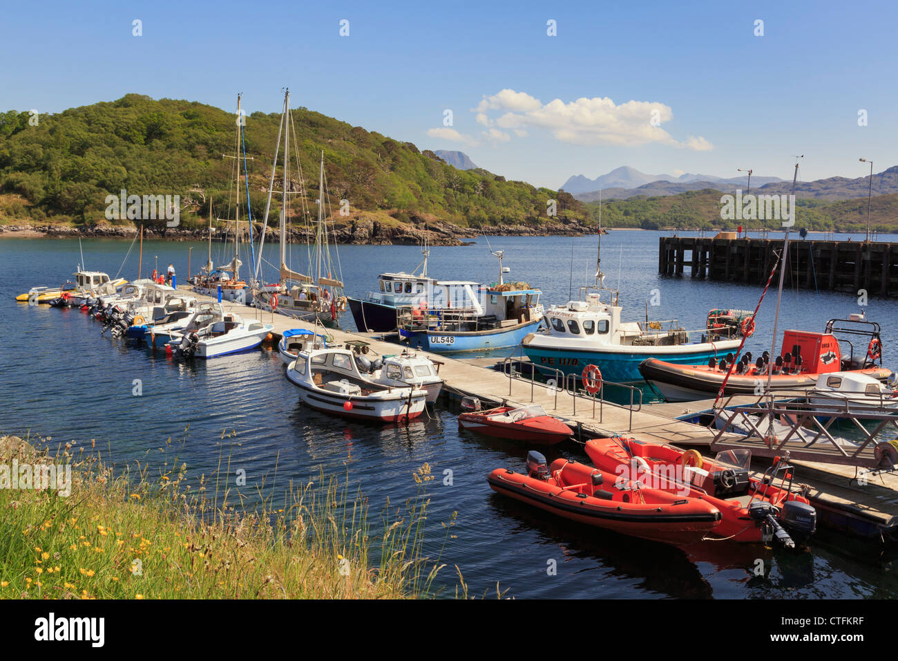 Marine wildlife and whale watching boats moored in Charlestown harbour on Loch Gairloch on northwest Highlands coast Scotland UK Stock Photo