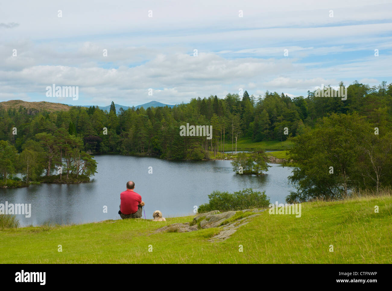 Man and dog sitting at Tarn Hows, Lake District National Park, Cumbria, England UK Stock Photo