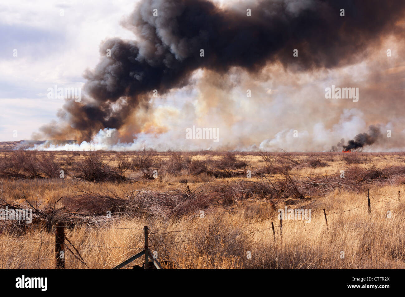 Wildfire burning - New Mexico, USA Stock Photo