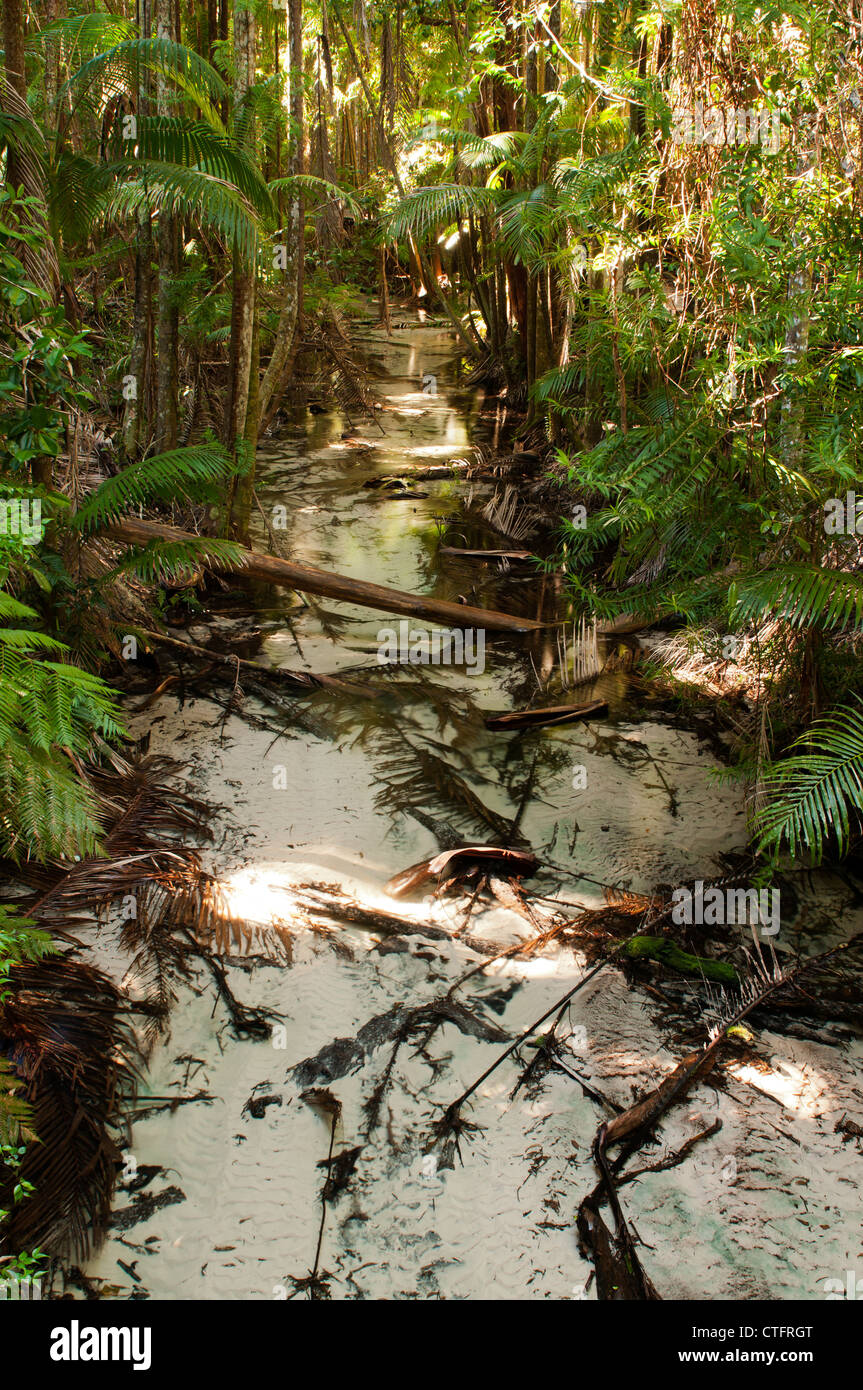 Wanggoolba Creek near Central Station camping area, Fraser Island. Stock Photo