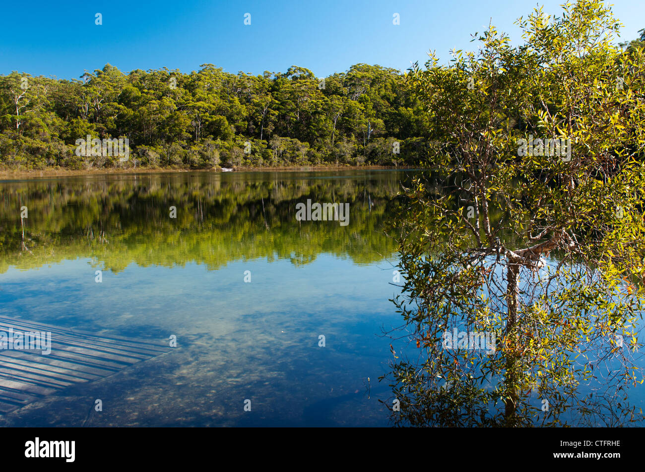 Basin Lake, a short walk from Central Station camping area, Fraser Island. Stock Photo