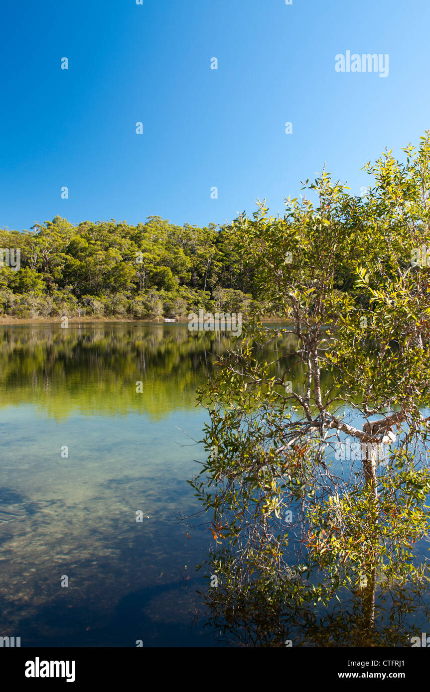 Basin Lake, a short walk from Central Station camping area, on Fraser Island. Stock Photo