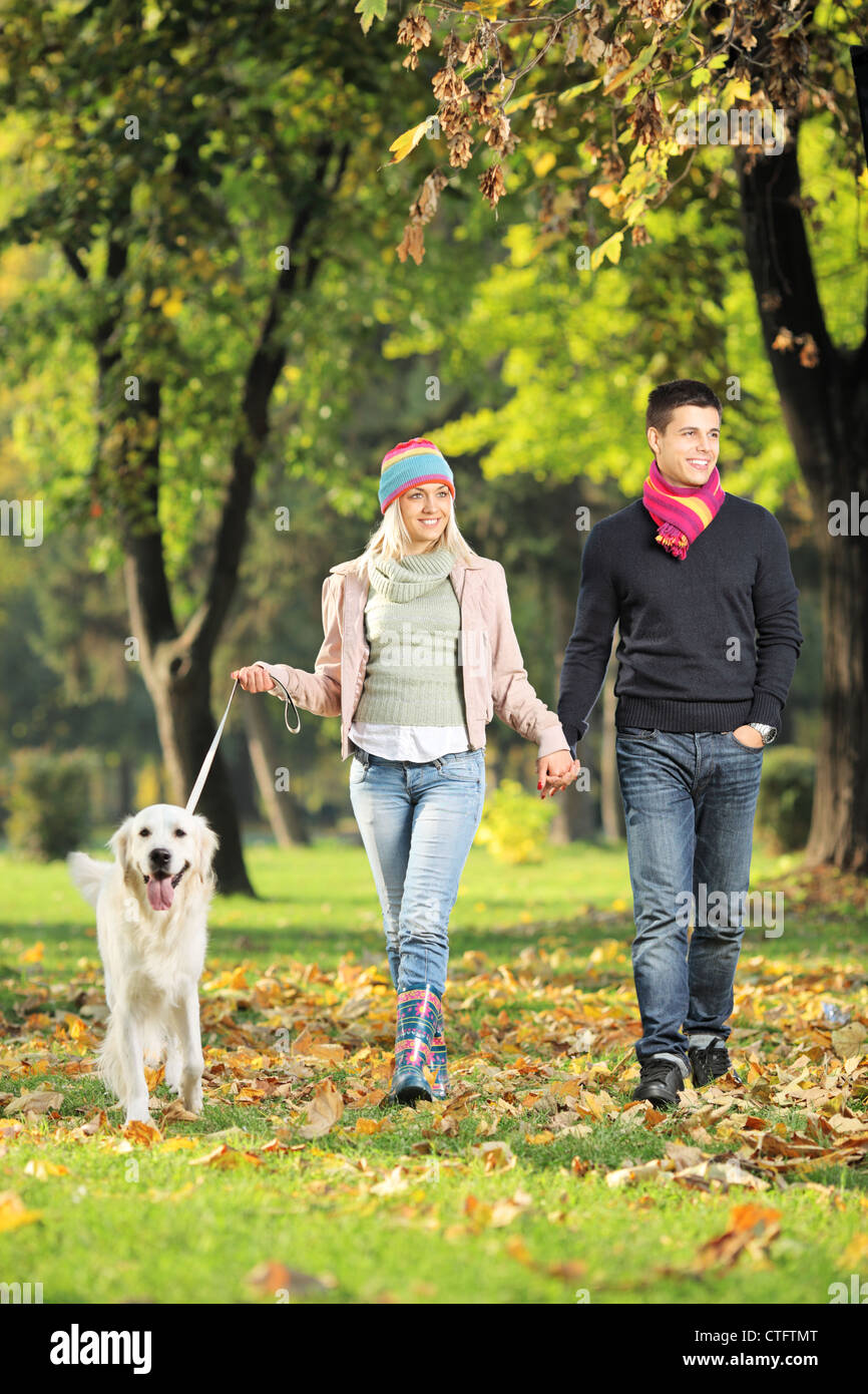 Young couple holding hands and walking a dog in a park Stock Photo - Alamy