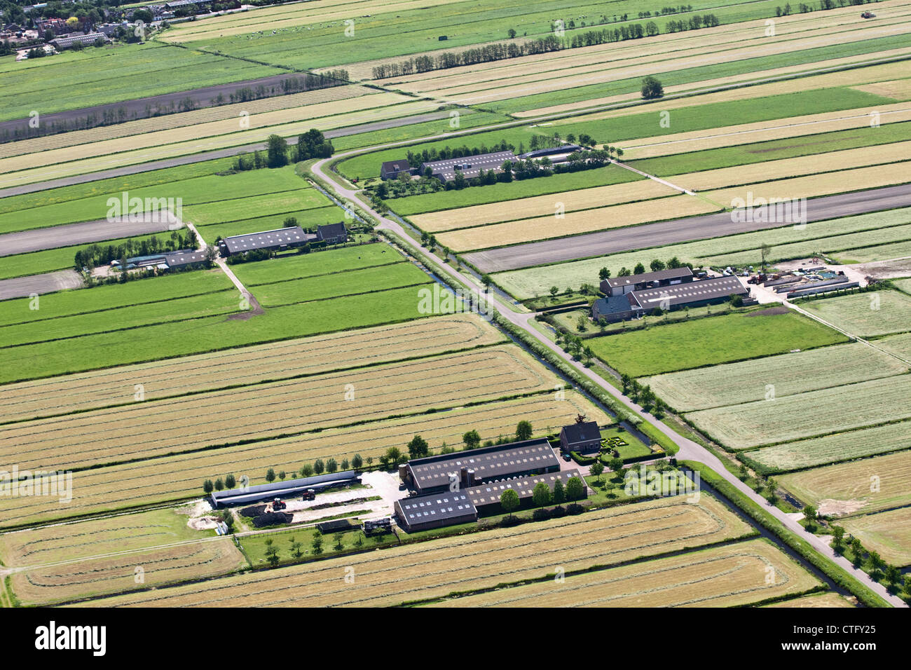 The Netherlands, Loosdrecht, Farms. Aerial. Stock Photo