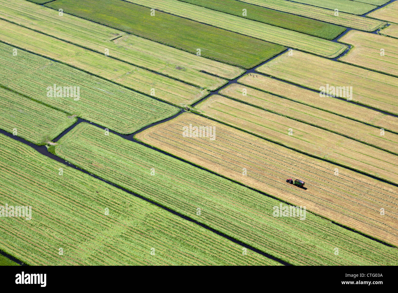 The Netherlands, Broek in Waterland, Farmer with tractor collecting grass. Aerial. Stock Photo