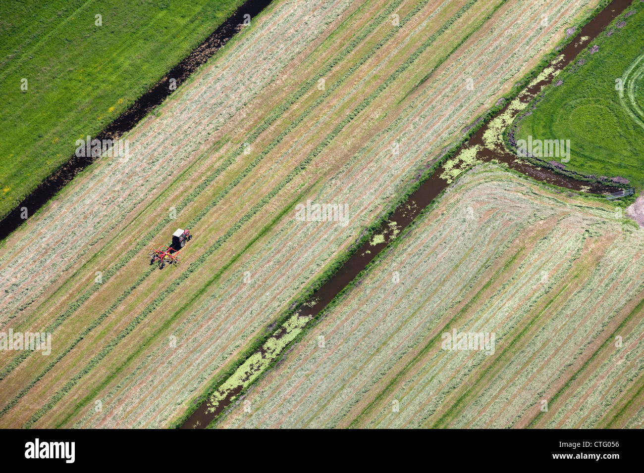 The Netherlands, Zuiderwoude. Aerial. Collecting grass with tractor. Stock Photo