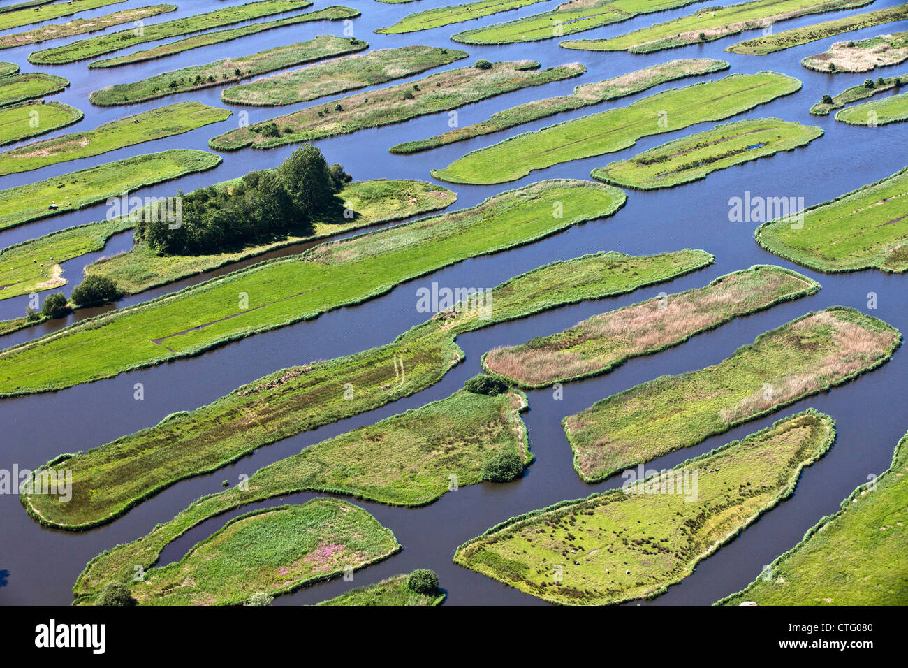 The Netherlands, Jisp, Aerial, Polder landscape. Stock Photo