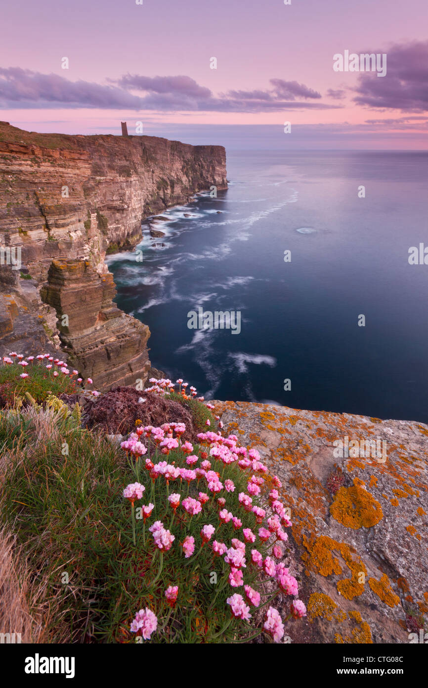 Marwick Head cliffs in spring, Orkney isles Stock Photo