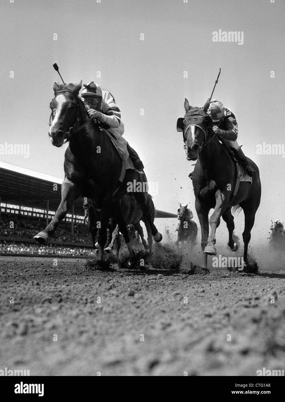 Worms Eye View Black and White Stock Photos & Images Alamy
