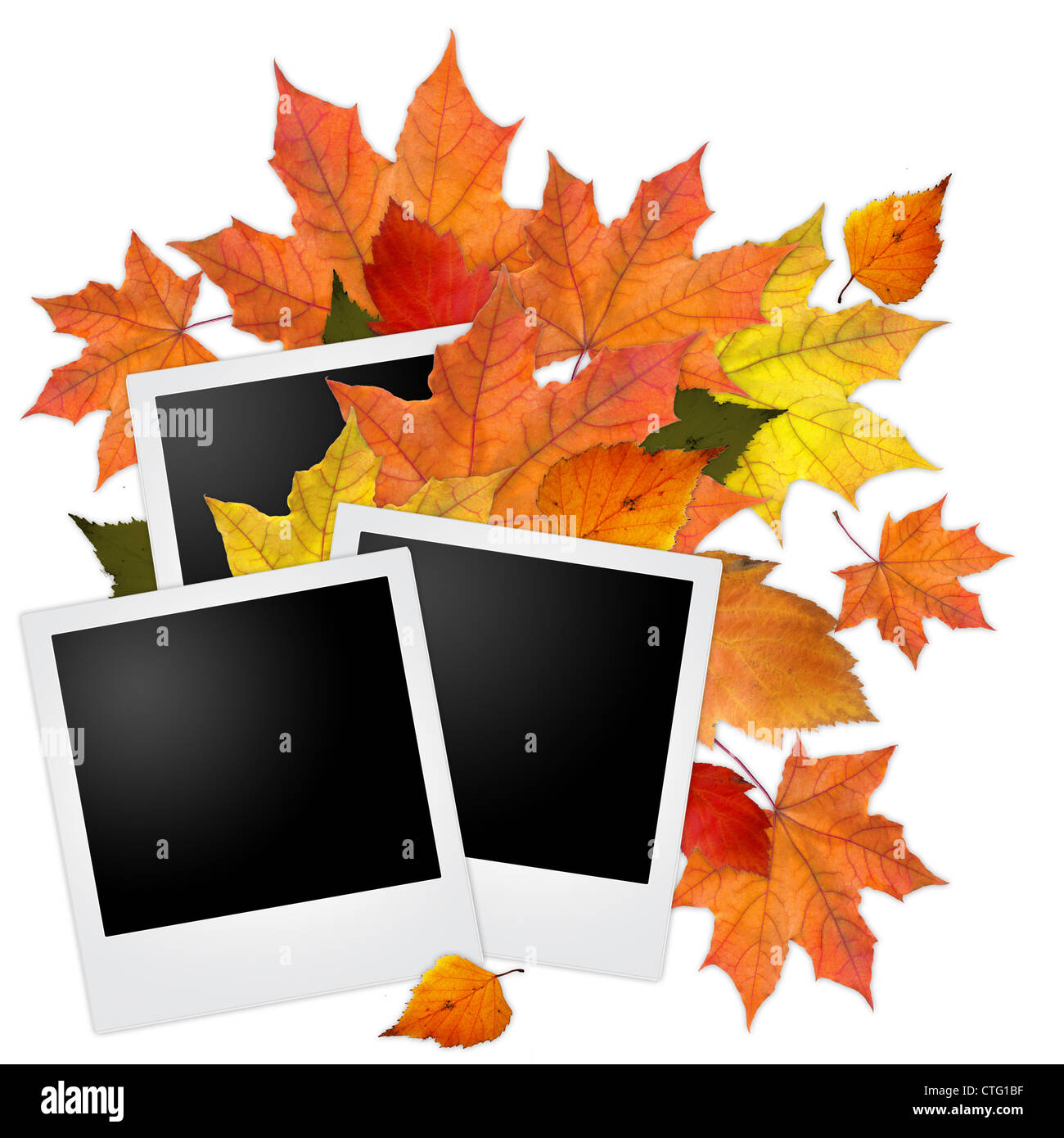 Blank photo frame with autumn leaves on white Stock Photo - Alamy