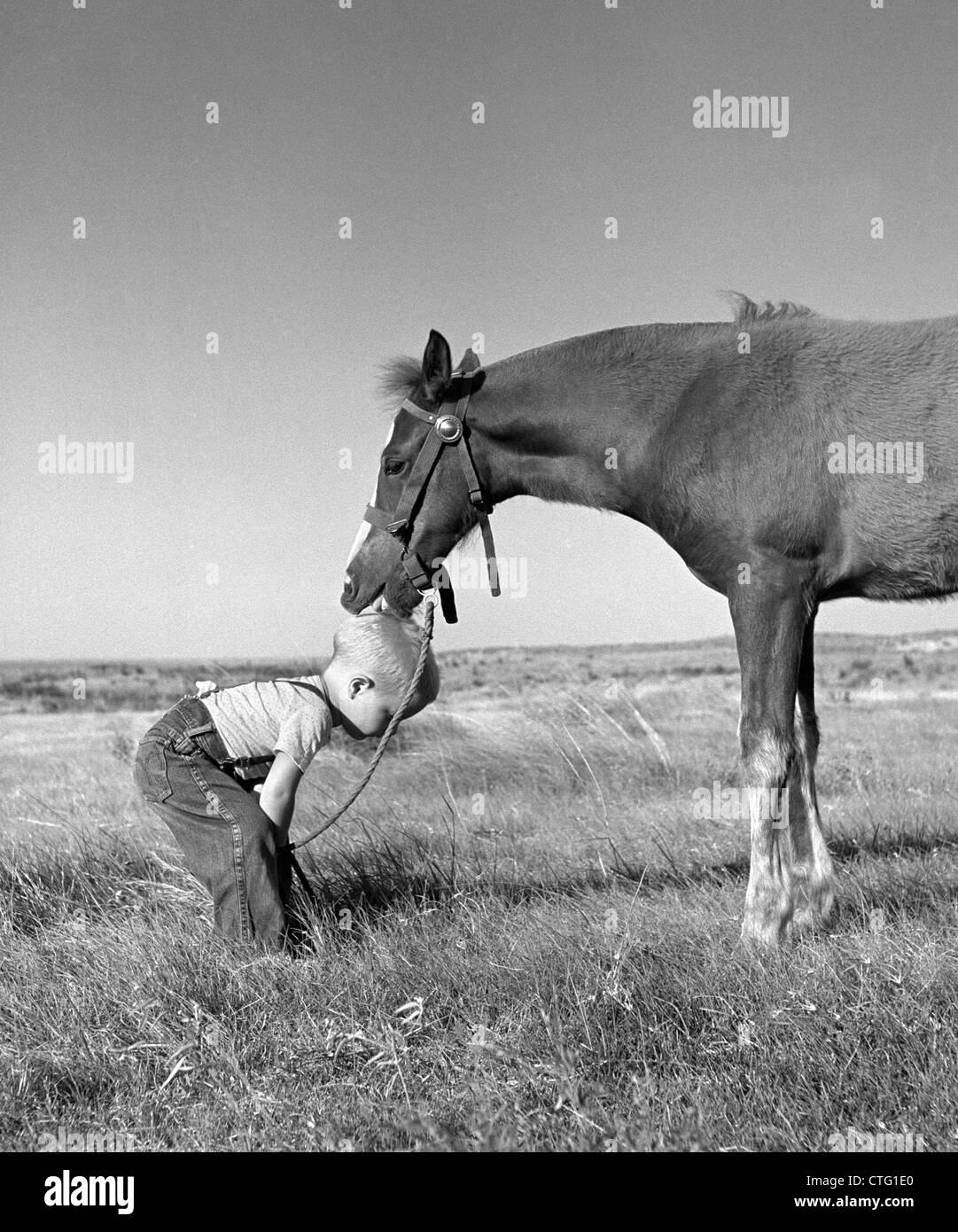 1950s SIDE VIEW OF LITTLE BLOND BOY IN FIELD WEARING JEANS & SUSPENDERS  BENDING DOWN WITH HORSE LICKING TOP OF HEAD Stock Photo - Alamy