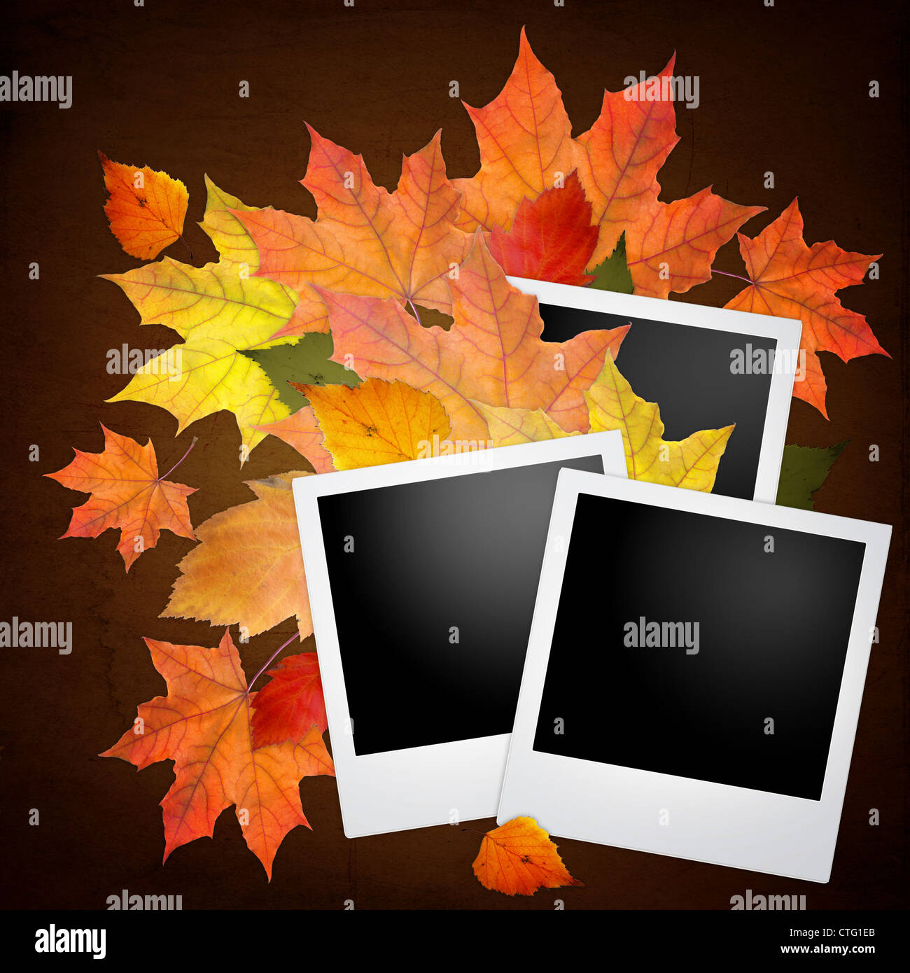 Blank photo frame with autumn leaves on white Stock Photo - Alamy