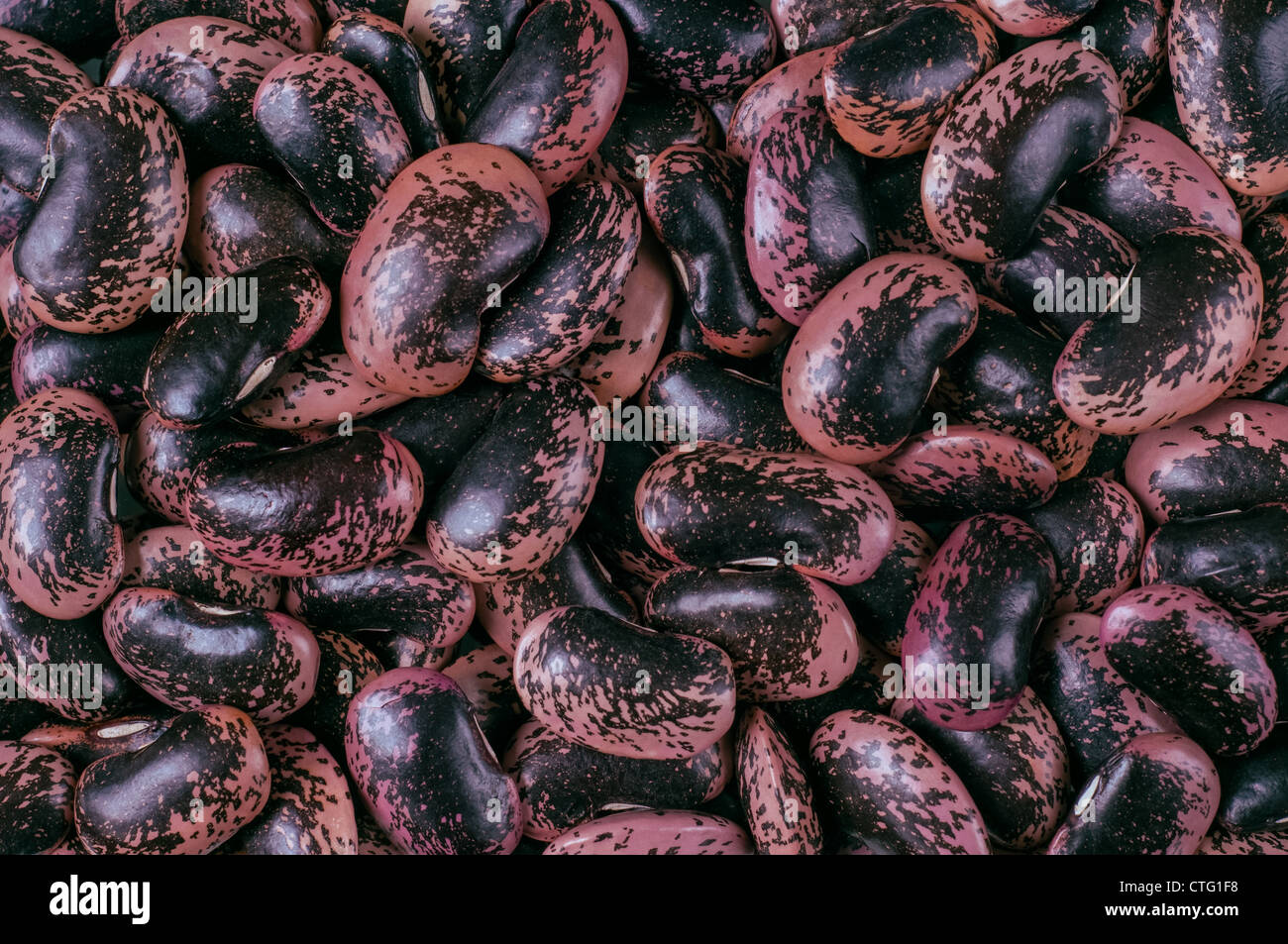 Fire beans hires stock photography and images Alamy