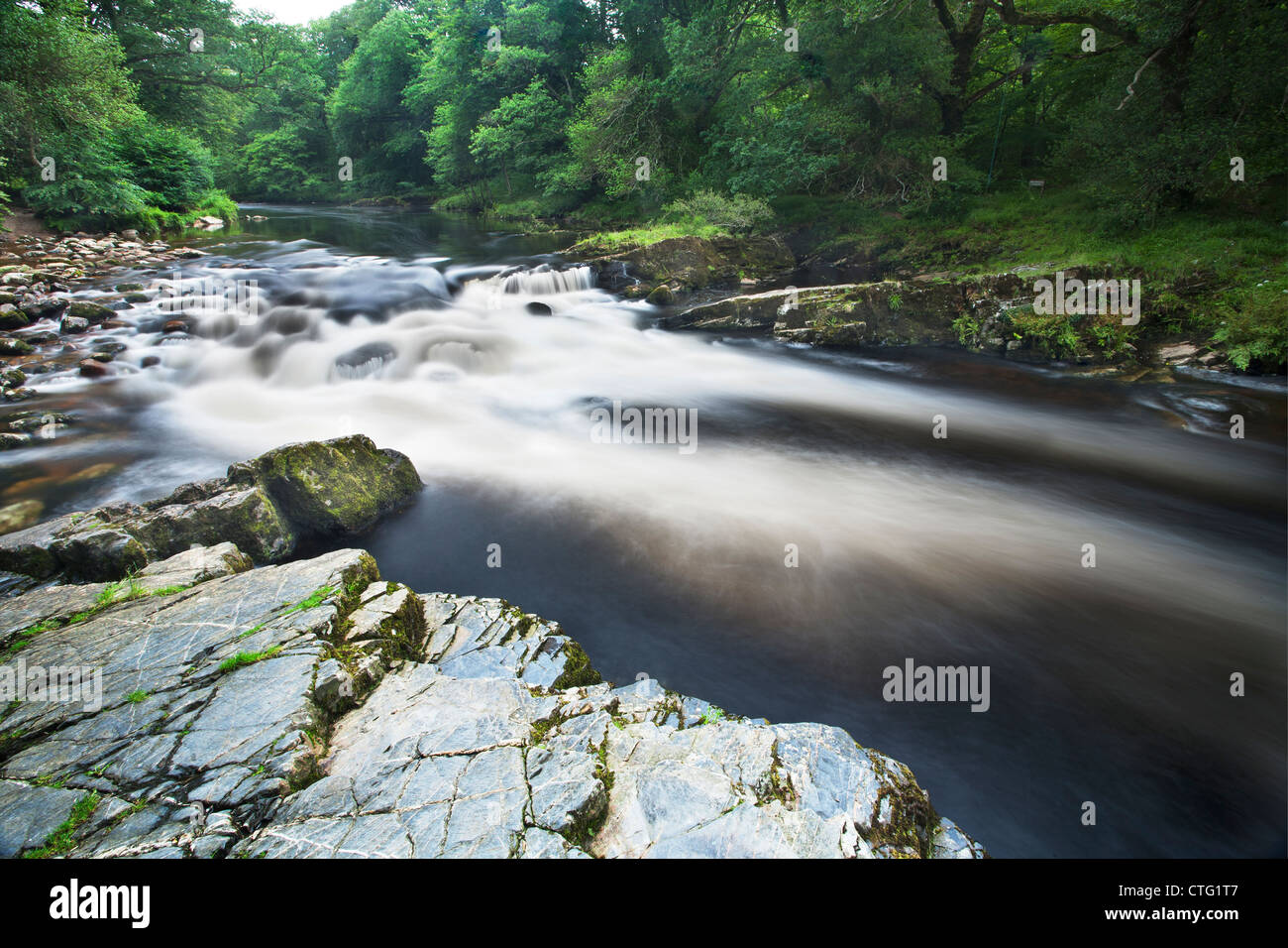 River Dart near New Bridge on Dartmoor, Devon Stock Photo Alamy