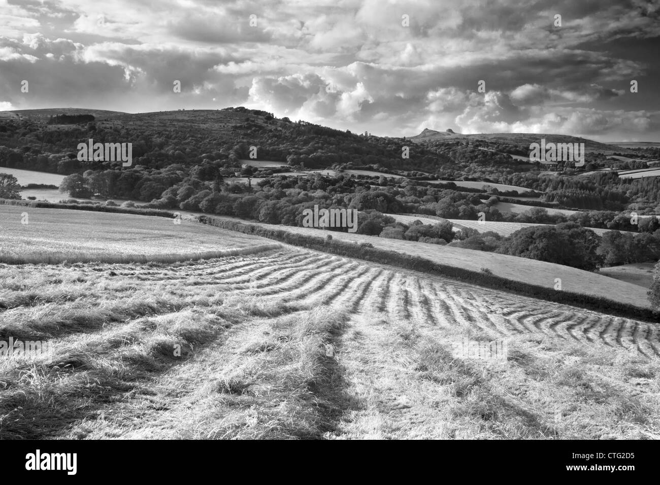 Dartmoor agricultural land Black and White Stock Photos & Images Alamy