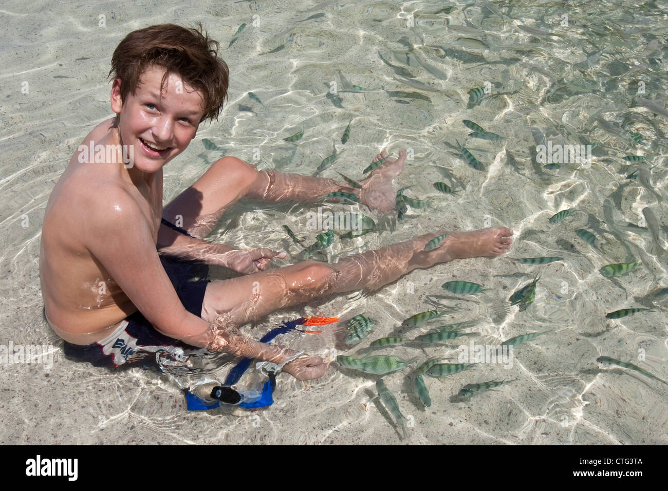 Boy with tropical fish , Nang Yuan beach , Ko Tao, Thailand Stock Photo