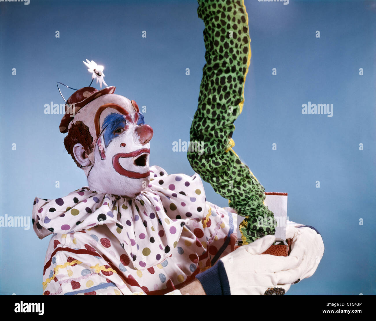 1960s SURPRISED CLOWN POLKA DOT COSTUME LETTING SNAKE LIZARD GREEN THING JUMP OUT OF BOX Stock Photo