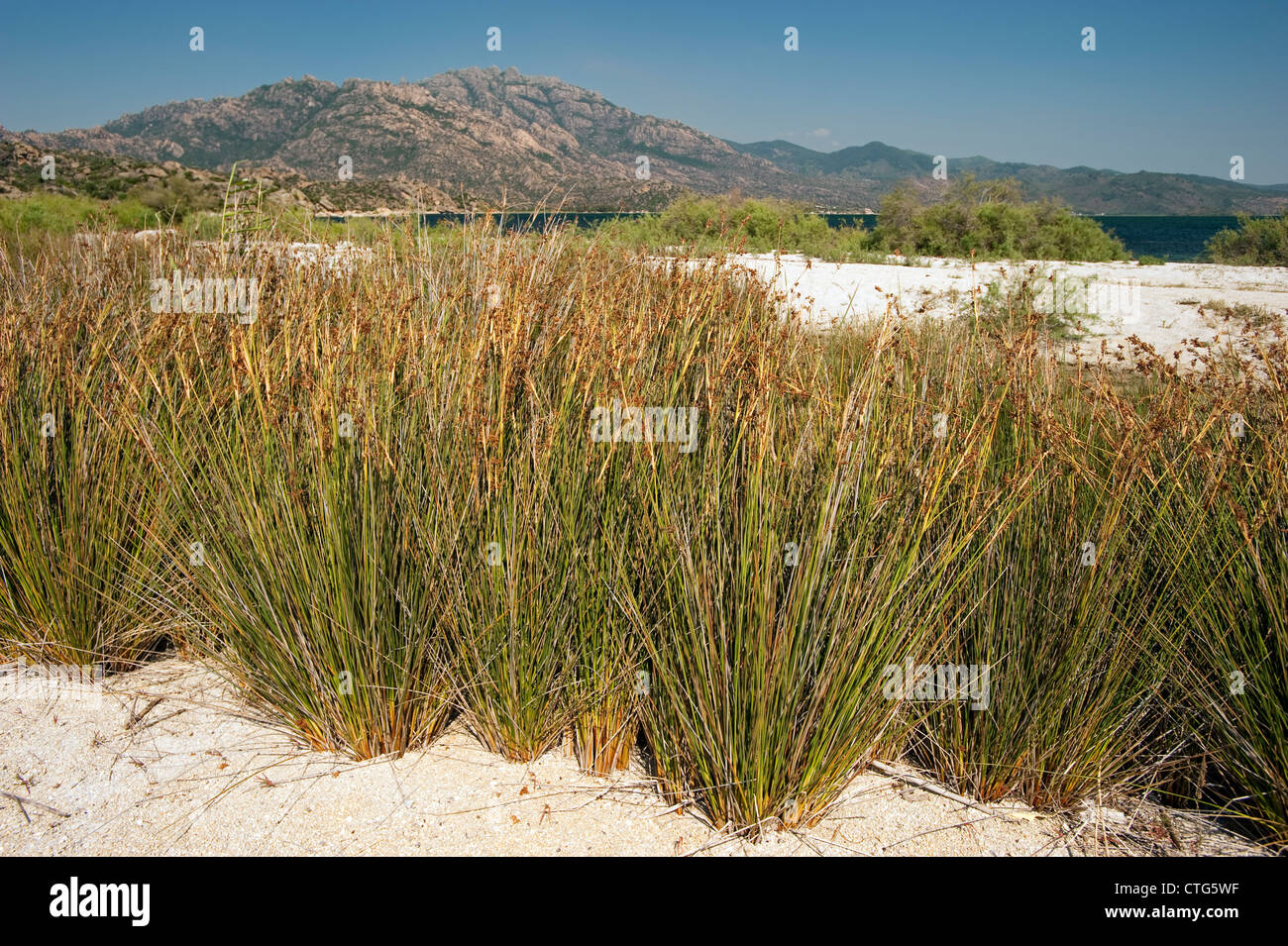 Turkey bafa lake ancient heracleia hi-res stock photography and images ...