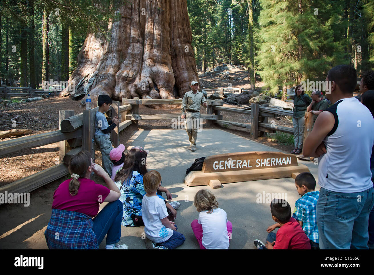 A volunteer park ranger in Sequoia National Park talks to visitors about the General Sherman, the world's largest living tree Stock Photo